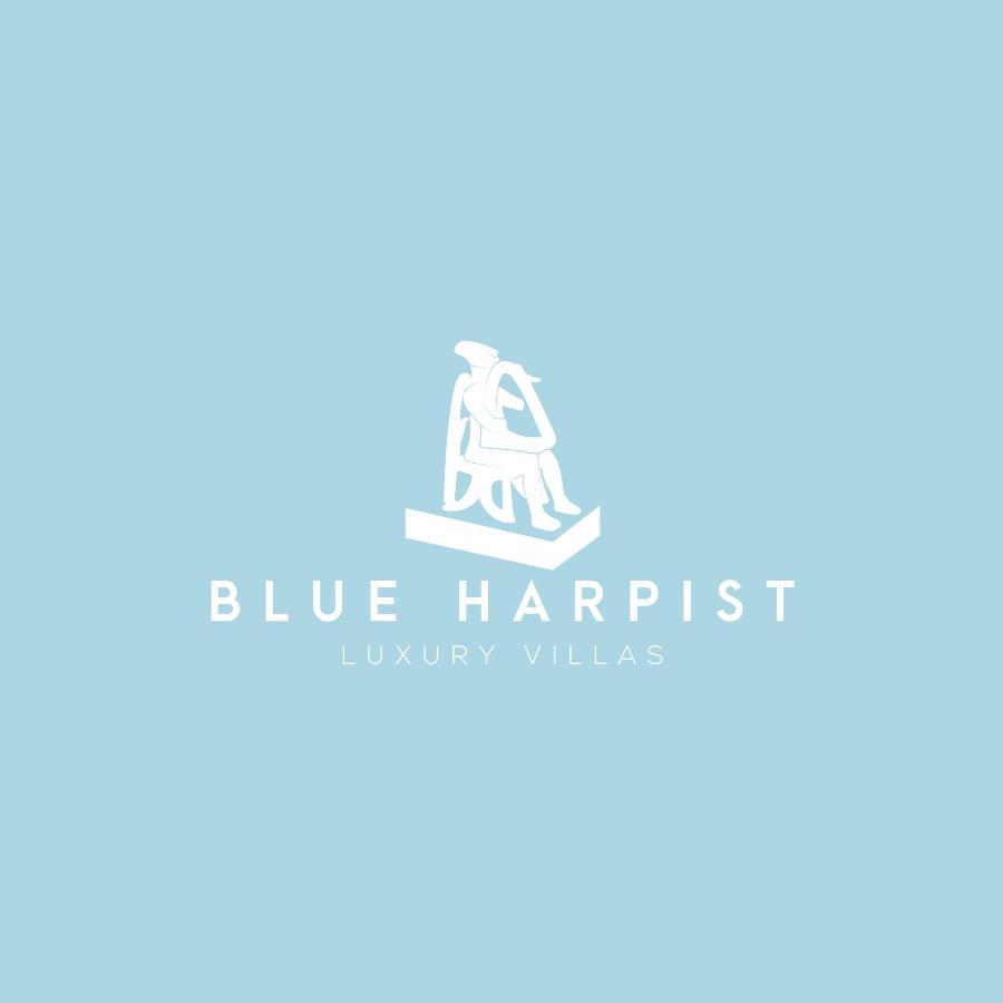 Blue Harpist Villas Koufonisia Екстериор снимка